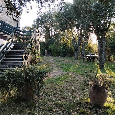 Vila Casa De Camp Prop De La Costa Brava Romanyá de la Selva Exteriér fotografie